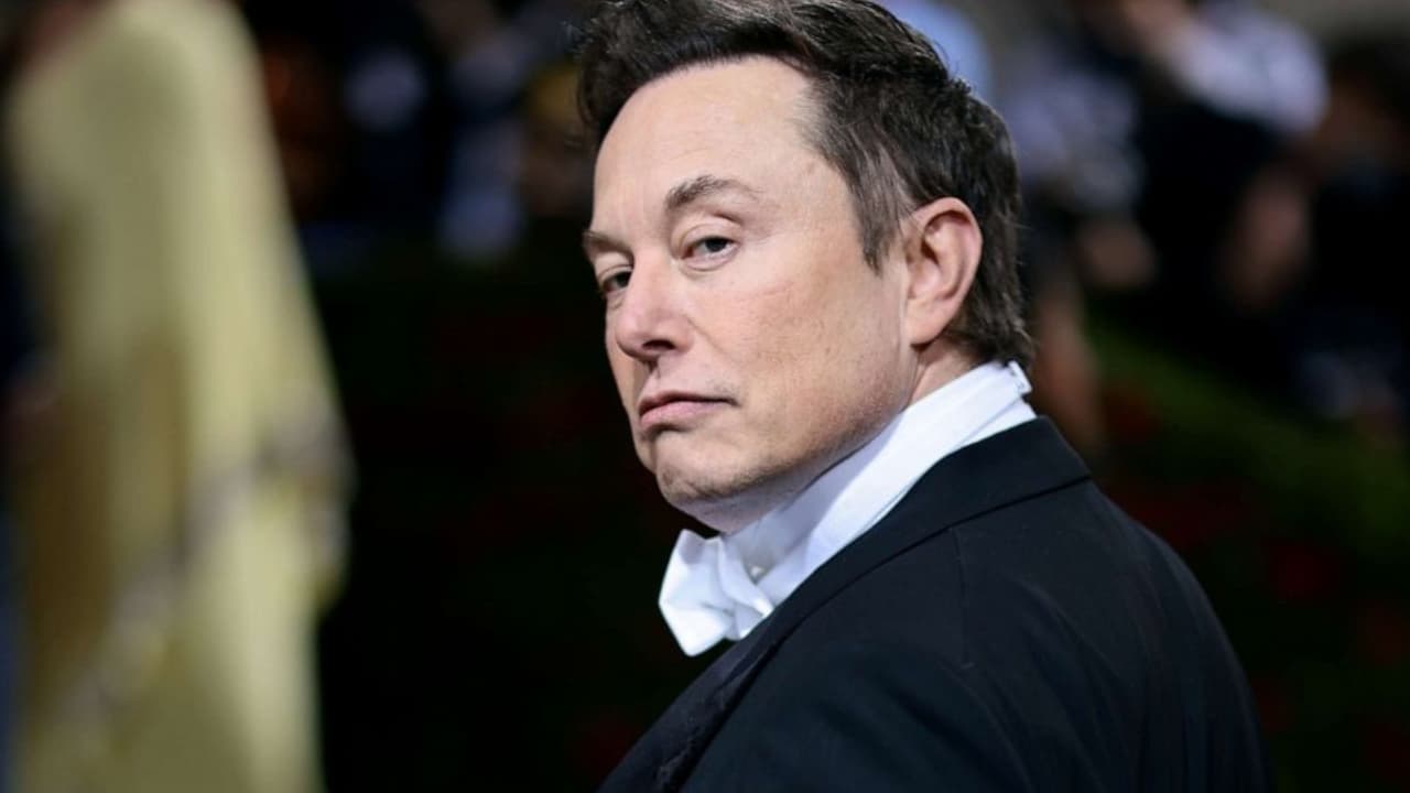 Elon Musk's Tesla Sued Indian Company Over Naming Rights